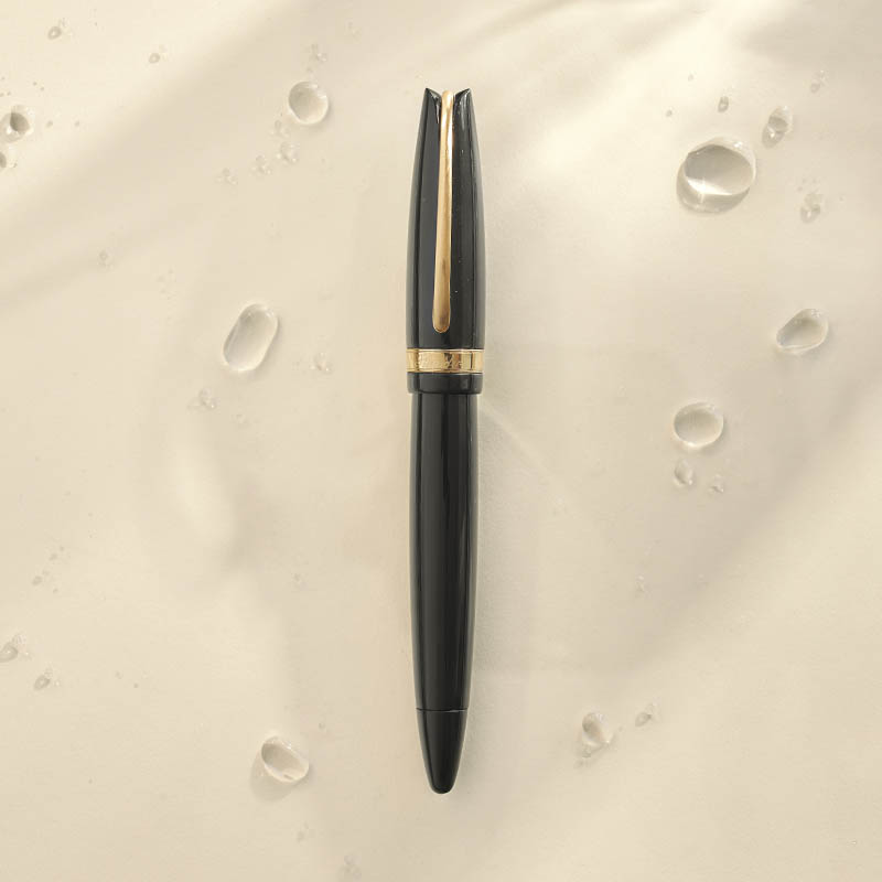 Fountain pen Egosphere