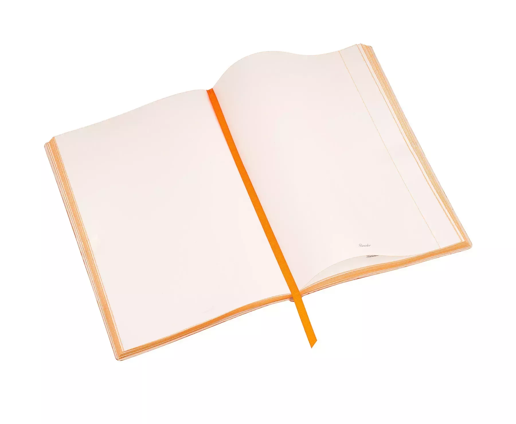 PineiderXColony Notebook Papaveri